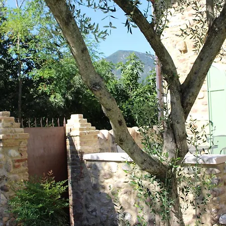 Giardino Degli Ulivi * カプリーノ・ヴェロネーゼ